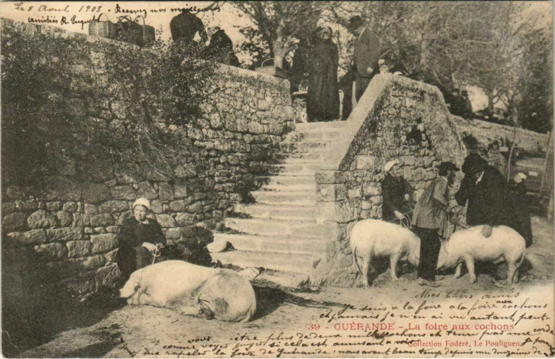 Carte postale ancienne Guerande La foire ax cochons à Guérande
