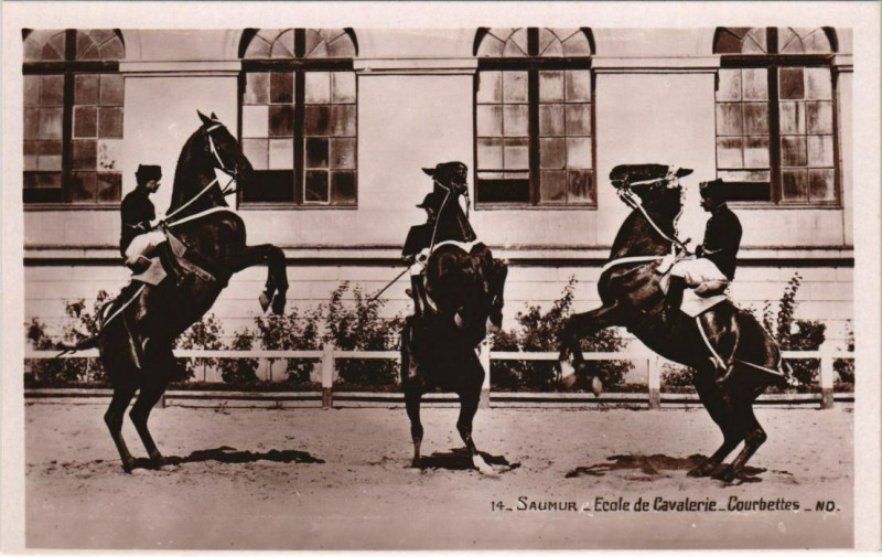Carte postale ancienne Saumur Ecole de Cavalerie Courbettes à Saumur