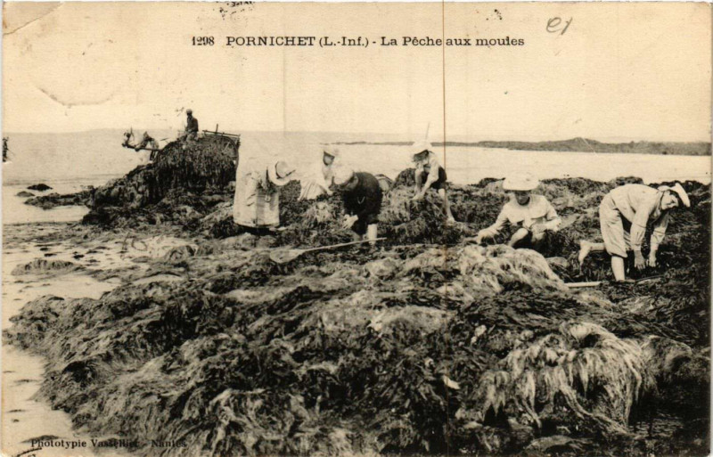 Carte postale ancienne Pornichet - La Peche aux moutes à Pornichet