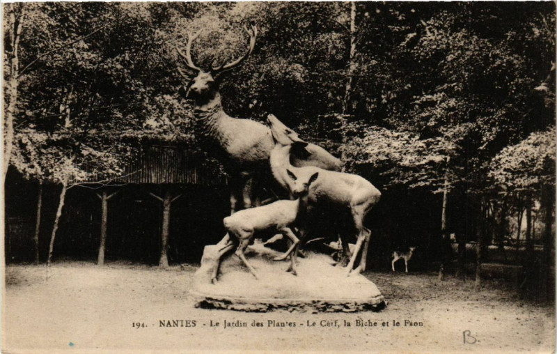 Carte postale ancienne Nantes - Le Jardin des Plantes - Le Cerf la Biche et le Fien à Nantes