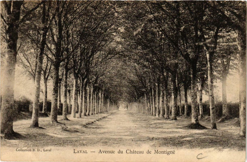 Carte postale ancienne Laval Avenue du Chateau de Montigné à Laval