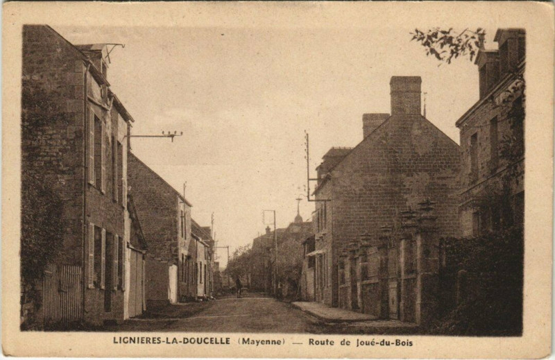 Carte postale ancienne Lignieres-la-Doucelle - Route de Joue du Bois