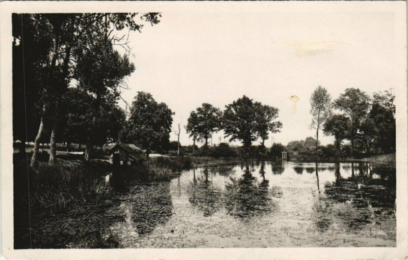 Carte postale ancienne Pre-en-Pail - Etang de la Chauviniere
