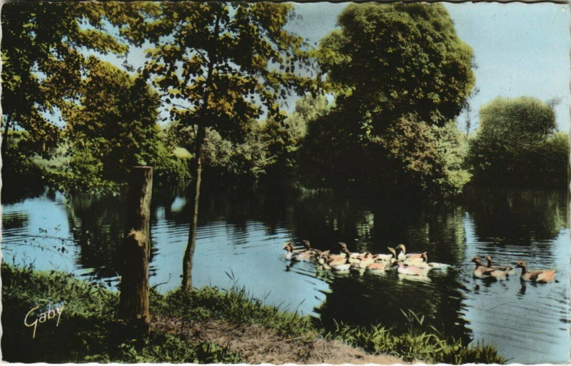 Carte postale ancienne Pre-en-Pail - Etang du Bois-Gaude