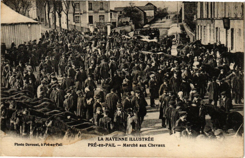 Carte postale ancienne Pré-en-Pail - Marché aux Chevaux