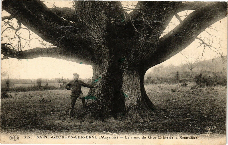 Carte postale ancienne Saint Georges sur eve.- Le tronc