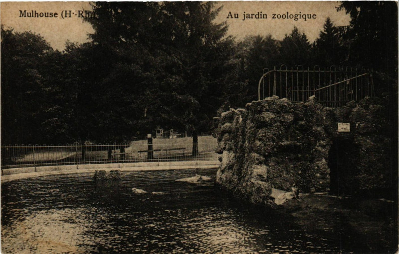 Carte postale ancienne Mulhouse - Au jardin zoologique à Mulhouse