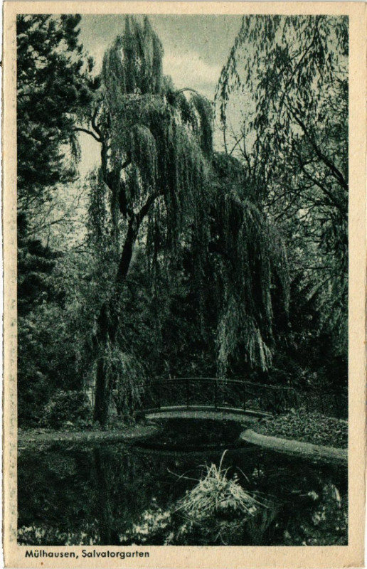 Carte postale ancienne Mulhausen Salvatorgarten