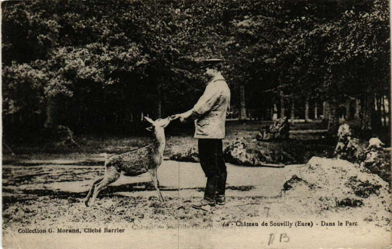 Carte postale ancienne Chateau de Souvilly - Dans le Parc