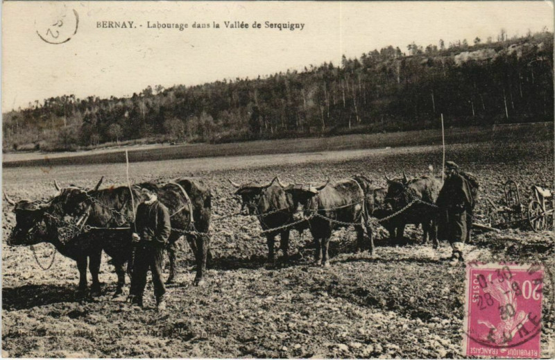 Carte postale ancienne Bernay Labourage dans la Vallée de Serquigny à Bernay