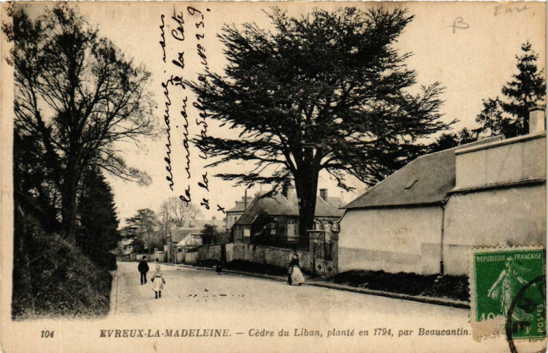 Carte postale ancienne Evreux-la-Madeleine - Cedre du Liban plante en 1794 par Beaucantin à Évreux