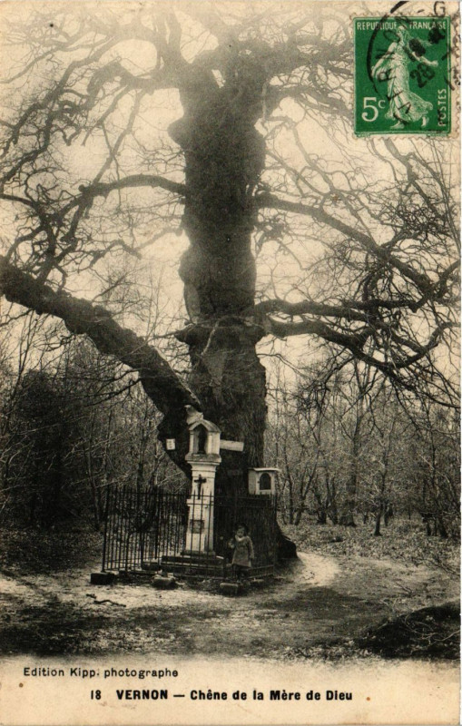 Carte postale ancienne Vernon - Chene de la Mere de Dieu à Vernon