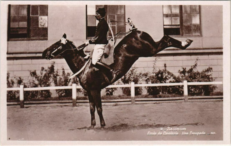 Carte postale ancienne Saumur Ecole de Cavalerie Une Groupade à Saumur