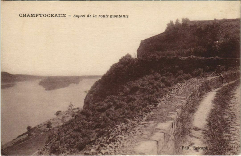 Carte postale ancienne Champtoceaux Aspect de la route montante