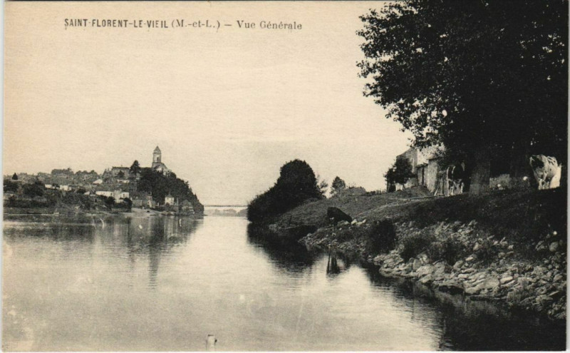 Carte postale ancienne Saint-Florent-le-Vieil Vue Generale