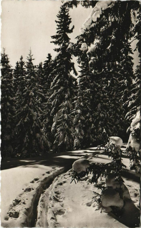 Carte postale ancienne Doubs - Piste dans la Neige à Doubs