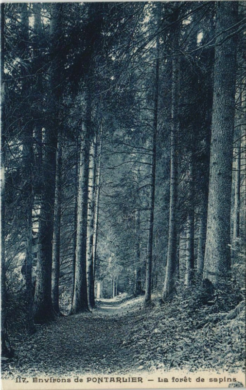 Carte postale ancienne La Foret de Sapins - Environs de Pontarlier à Pontarlier
