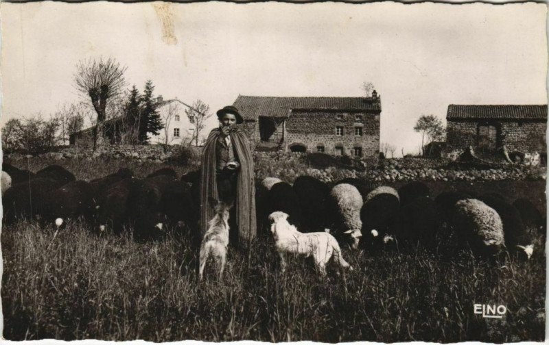 Carte postale ancienne Le Berger du Village - Type