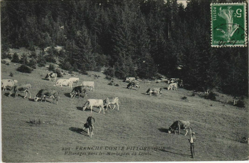 Carte postale ancienne Paturages dans les Montagnes du Doubs à Doubs