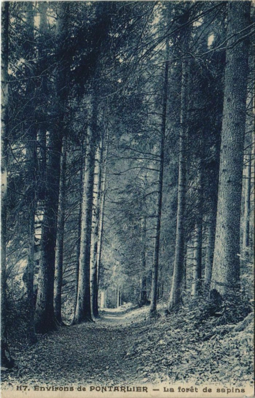 Carte postale ancienne Pontarlier Environs - La Foret de Sapins à Pontarlier