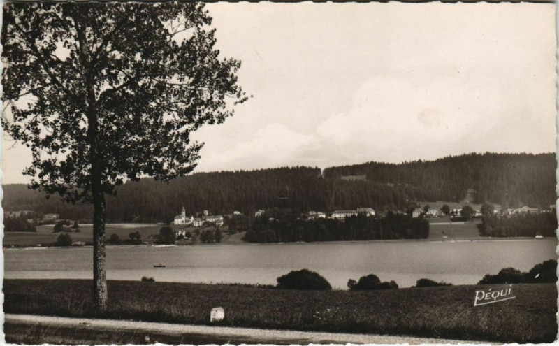 Carte postale ancienne Malbuisson Le Lac - Vu depuis Saint-Point à Malbuisson