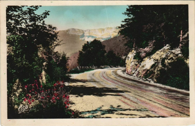 Carte postale ancienne Jougne Route de Vallorbe et le Mont d'Or à Jougne
