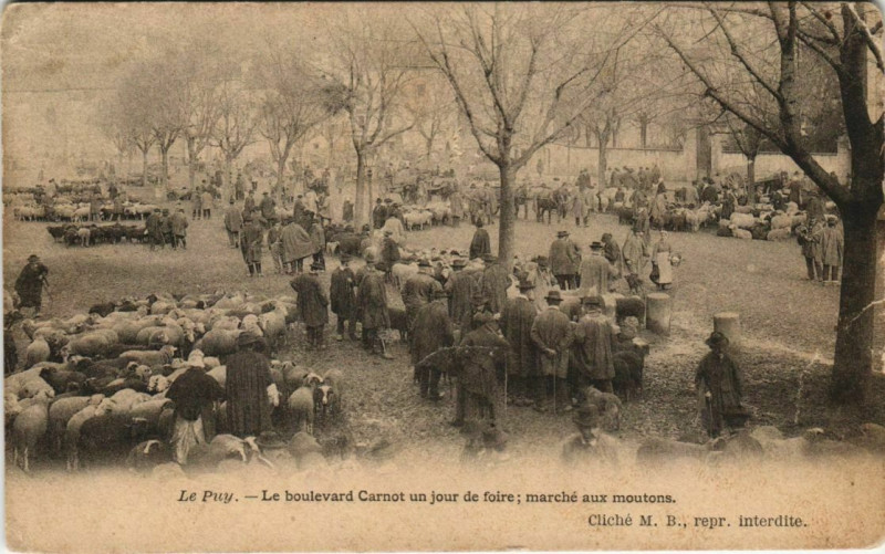 Carte postale ancienne Le Puy Le Boulevard Carnot un Jour de Foire - Marche aux Moutons au Puy