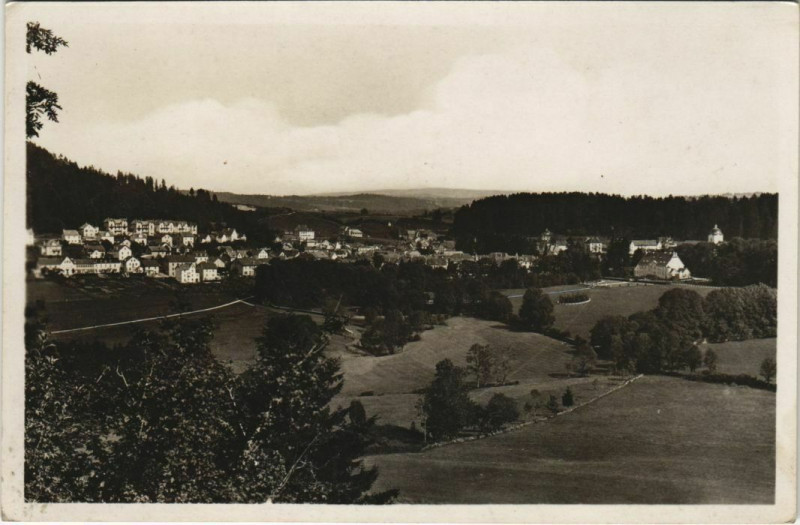 Carte postale ancienne Maiche Vue Panoramique à Maîche