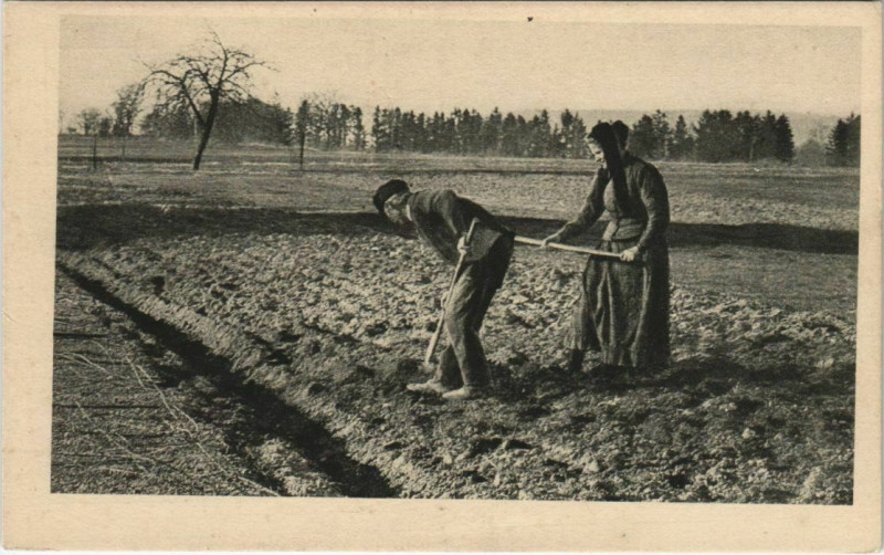Carte postale ancienne Morteau La Vie au Champs à Morteau