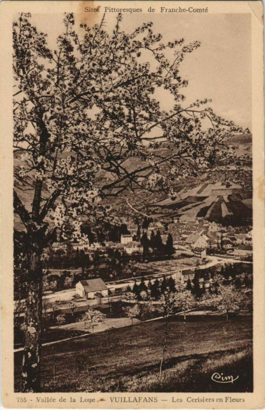 Carte postale ancienne Vuillafans Les Cerisiers en Fleurs - Vallee de la Loue à Vuillafans
