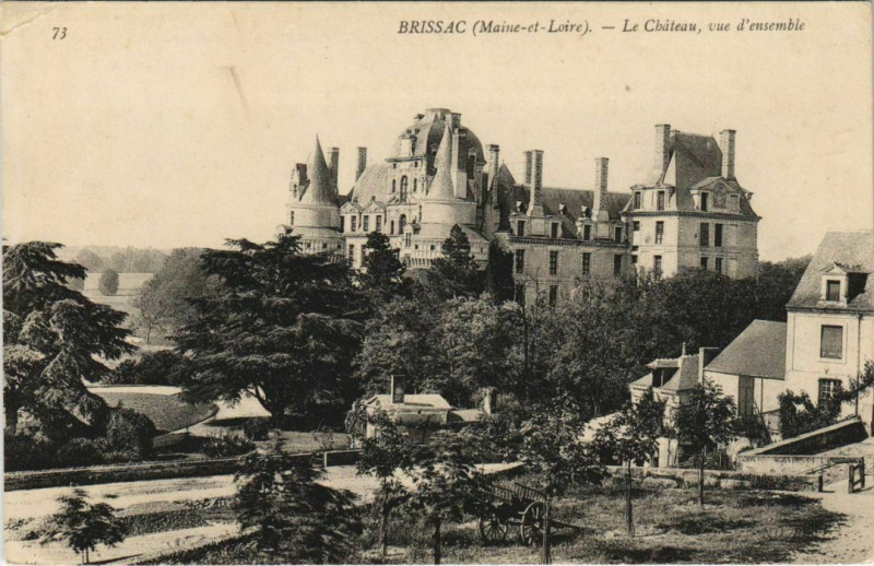 Carte postale ancienne Brissac Le Chateau, vue d'ensemble