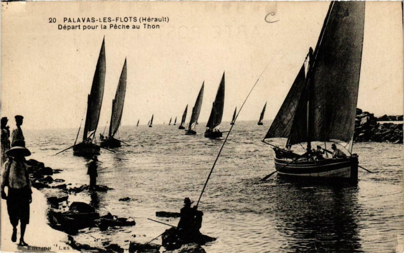 Carte postale ancienne Palavas-les-Flots Départ pour la Peche au Thon à Palavas-les-Flots