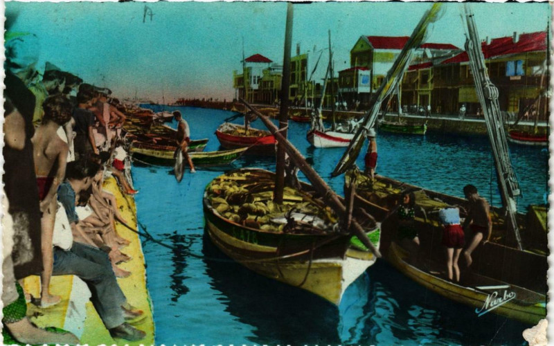 Carte postale ancienne Palavas La Peche aux Thons a ete bonne