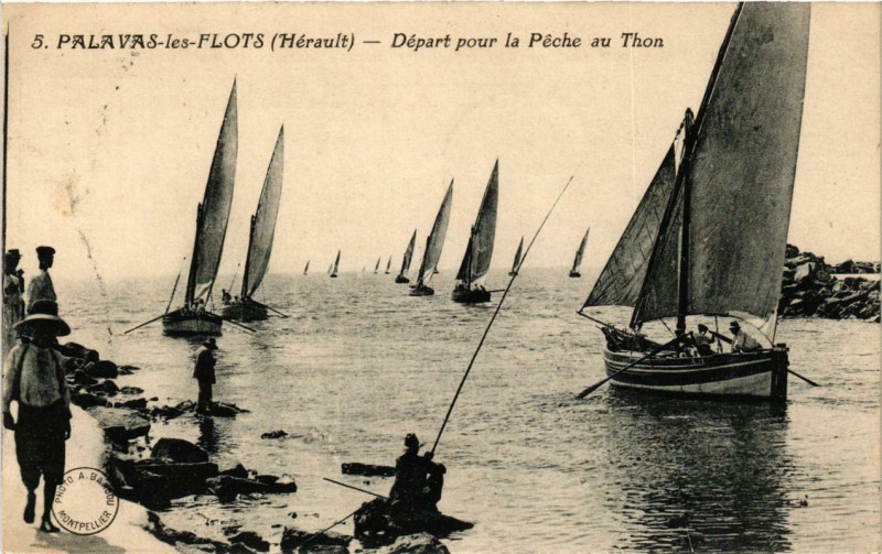 Carte postale ancienne Palavas-les-Flots Depart pour la Peche au Thon à Palavas-les-Flots