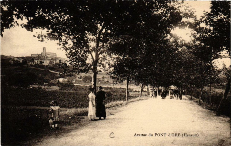Carte postale ancienne Avenue du Pont d'Orb