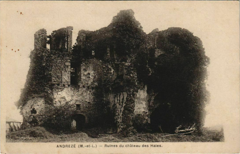 Carte postale ancienne Andreze Ruines du chateau des Haies