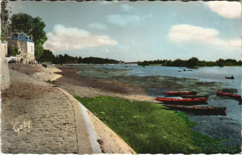 Carte postale ancienne La Pointe Bouchemaine Confluent de la Maine et la Loire à Bouchemaine