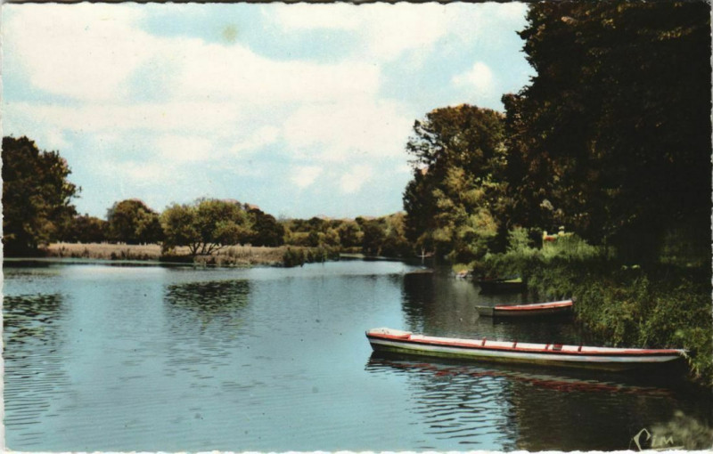 Carte postale ancienne Tierce La Sarthe a Porte-Bise