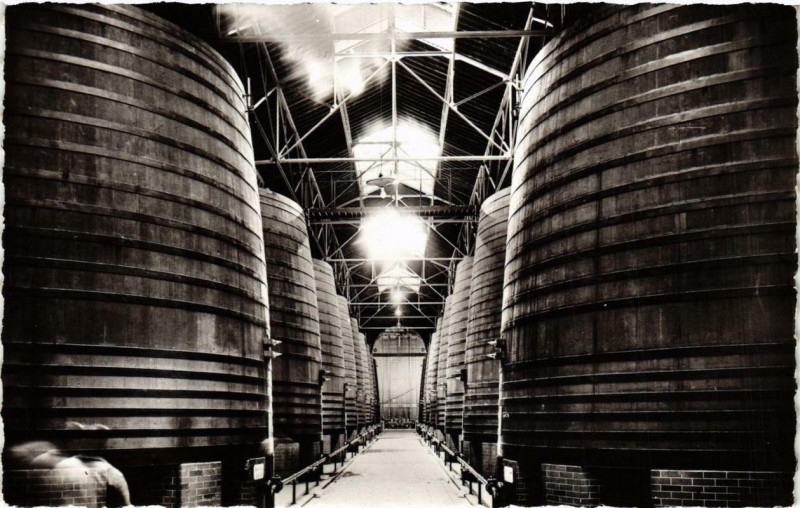 Carte postale ancienne Thuir Etabl. Byrrh Allée Centrale du Grand Chai à Thuir