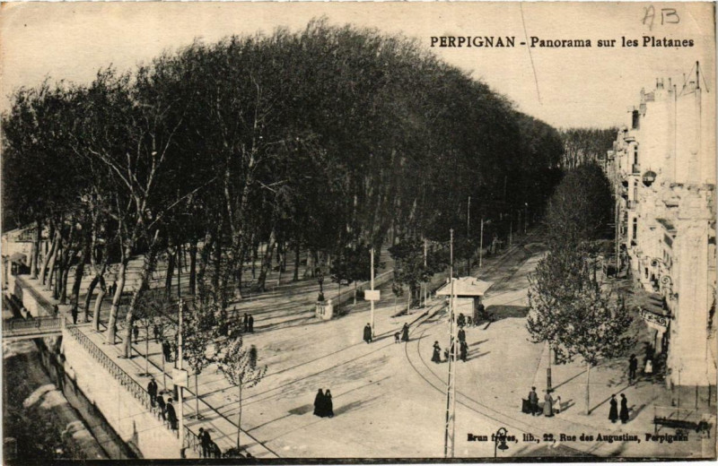 Carte postale ancienne Perpignan Panorama sur les Platanes à Perpignan