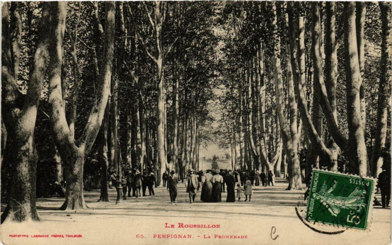 Carte postale ancienne Perpignan La Promenade à Perpignan