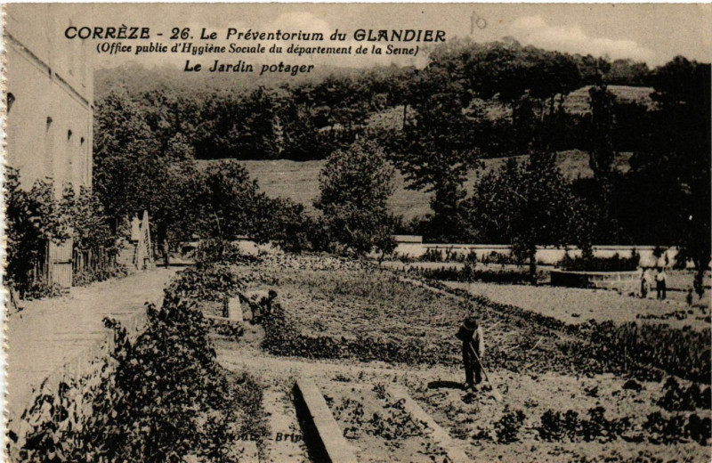 Carte postale ancienne Le Preventorium du Glandier - Le Jardin Potager au Jardin