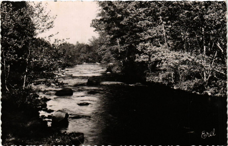 Carte postale ancienne Sous bois aux Env. de Bugeat à Bugeat