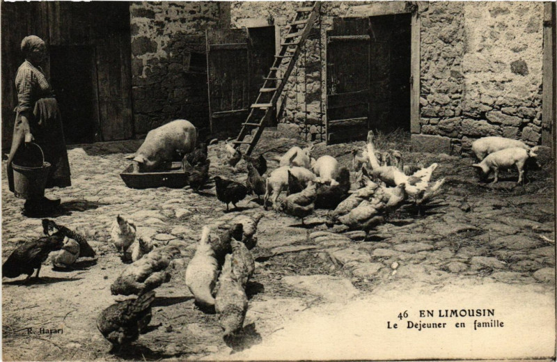 Carte postale ancienne En Limousin - Le Dejeuner en Famille - Folklore