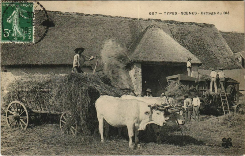 Carte postale ancienne Battage du Blé