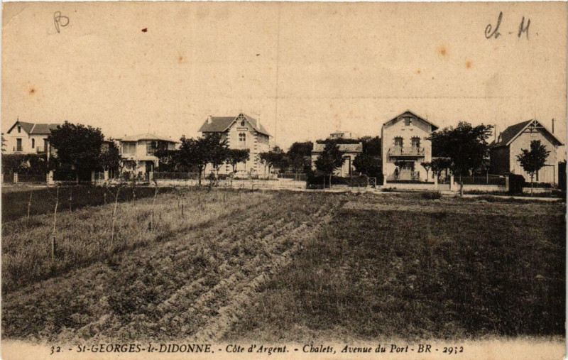 Carte postale ancienne Saint-Georges-de-Didonne Chalets Avenue du Port à Saint-Georges-de-Didonne