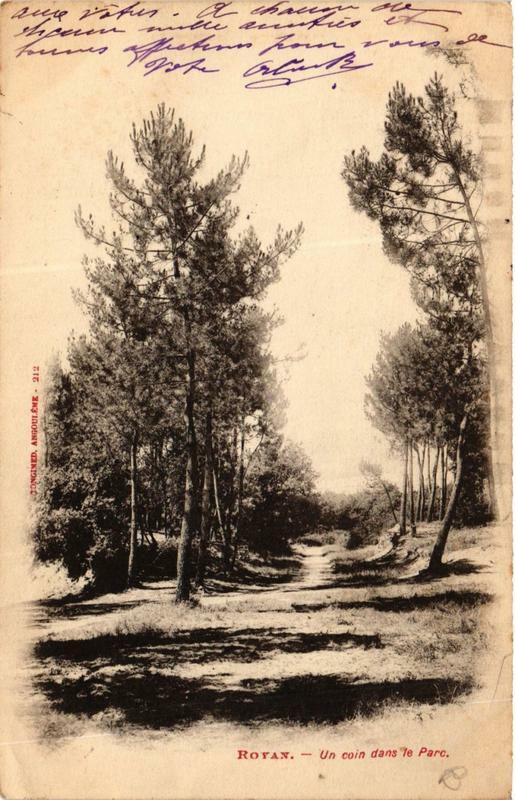 Carte postale ancienne Royan Un coin dans le Parc à Royan