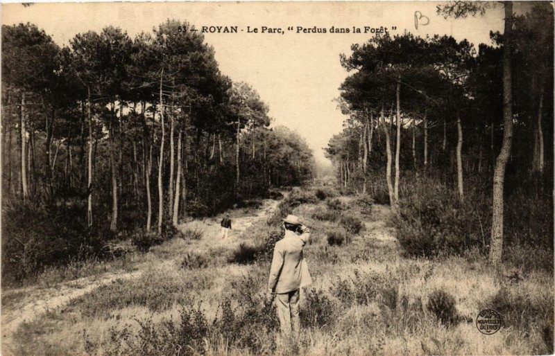 Carte postale ancienne Royan Le Parc 'Perdus dans la foret' à Royan