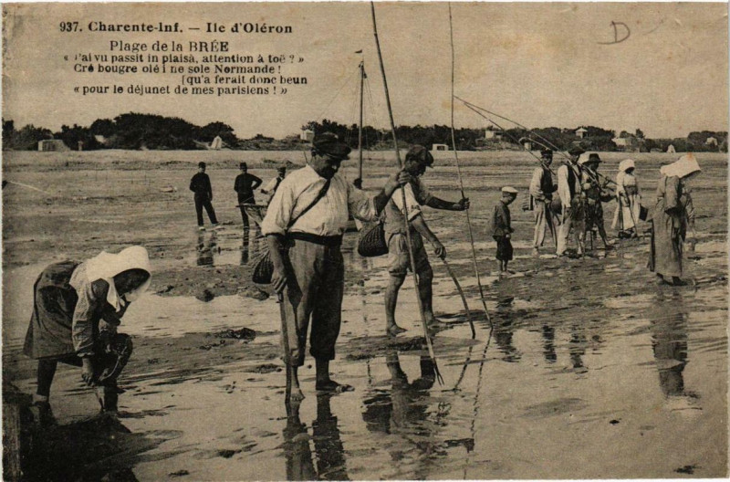 Carte postale ancienne Ile-d'Oleron Plage de la Brée