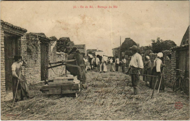 Carte postale ancienne Ile-de-Re Battage du blé